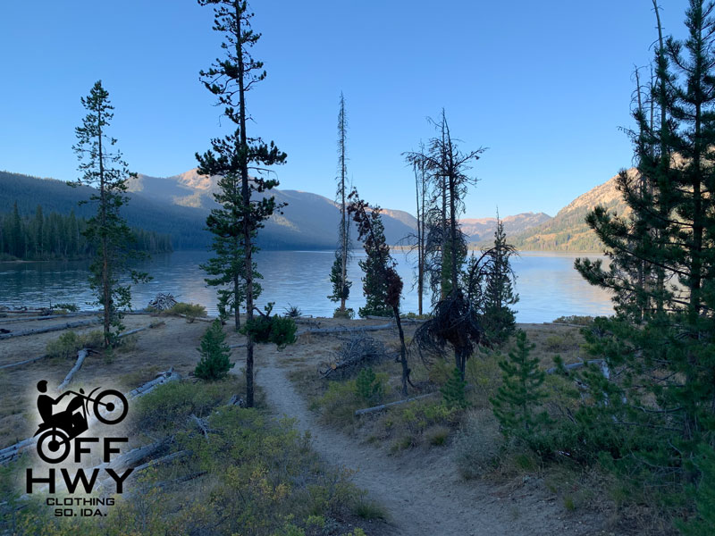 Lake & trees