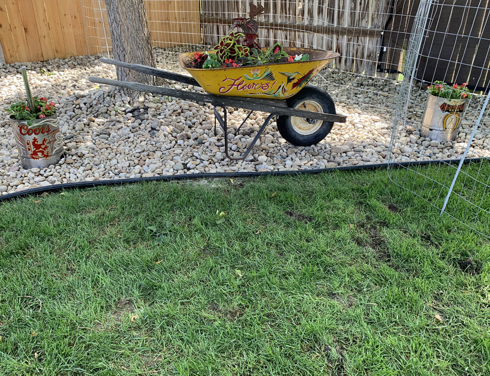 Wheel Barrow Planter